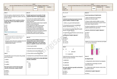 Biyoloji 10 Sınıf 2 Dönem 1 Yazılı Sınavı 2022 2023 İndir Hangisoru
