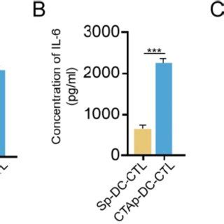 Cytokine Secretion By Ctl Upon Peptide Pulsed Dc Stimulation Ctl Cells