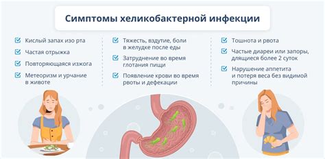 Анализ на хеликобактер пилори: виды, подготовка, расшифровка результатов