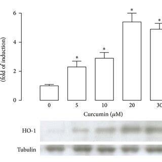 Curcumin Prevents Hemin Induced Changes In Glutathione GSH And