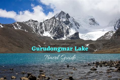 Gurudongmar Lake North Sikkim Complete Travel Guide