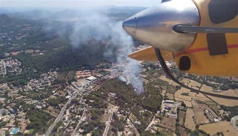 Knapp Waldbr Nde Vernichten Mehrere Hektar Auf Mallorca