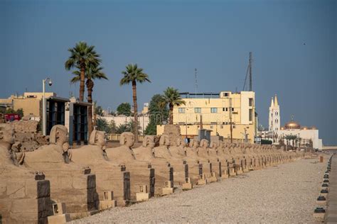 Avenue Of Sphinxes Next To Luxor Temple Luxor Egypt Editorial Stock