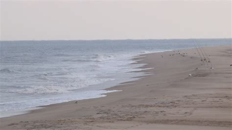 Delaware beaches are filling back in - delaware-surf-fishing.com