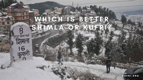 Which is better Shimla or Kufri? - Kufri.org