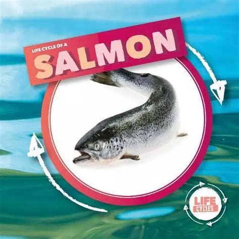 LIFE CYCLE OF A Salmon Life Cycles Holmes 9781839274787 Fast Free