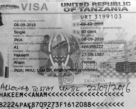 Tanzania Visa Online Types Guidelines Requirements More