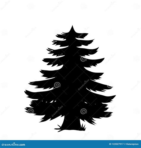 White Pine Tree Clipart Black And White