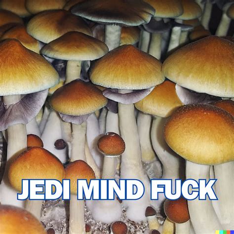 Jedi Mind Fuck Spore Syringe P Cubensis Shop Now