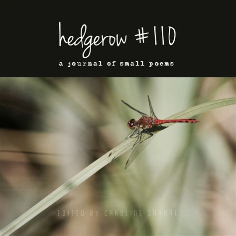 haibun | hedgerow: a journal of small poems