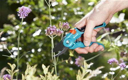 Vrtne škare GARDENA ŠKARE MIMOILAZ S Pevex