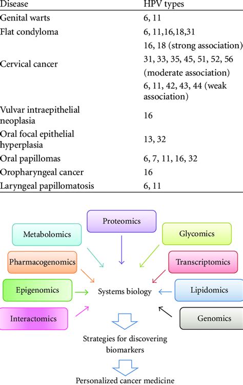 HPV types and associated diseases. | Download Table