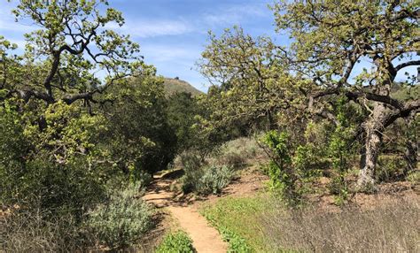 Conejo Valley Botanic Garden | Metrolink | Destinations