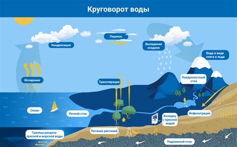 Устойчивость и загрязнение подземных вод: как ученые их изучают? | МАГАТЭ