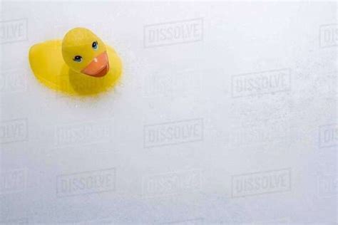 Rubber Duck In Bubble Bath Stock Photo Dissolve