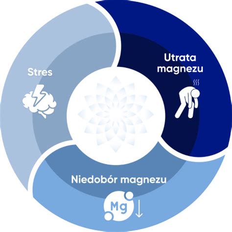 Magne B6 Forte Na niedobór magnezu w organizmie 2 x 100 tabletek