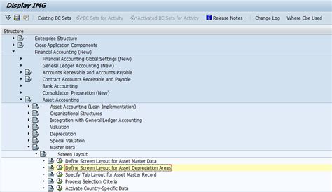 Asset Screen Layout Space For Sap Enthusiasts