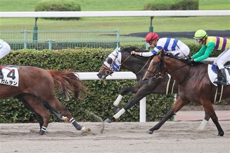 【次回注目馬】初ダートのヒシカムイが適性示す 角田大和騎手「パワーは十分」 Umatoku 馬トク