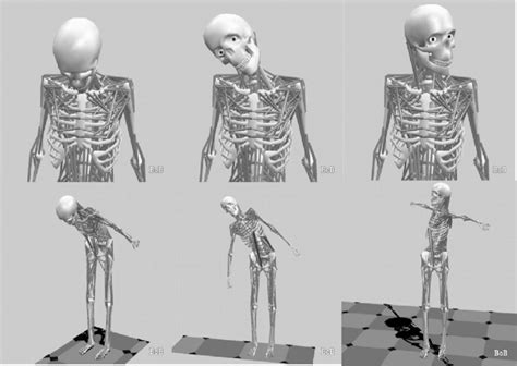 Diagrammatic Representation Of Pitch Roll And Yaw And The Cervical And Download Scientific