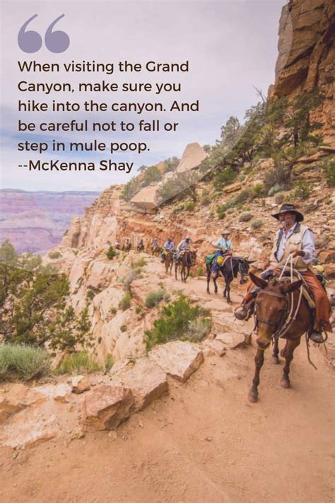 100 Grand Canyon Quotes That Capture Its Majestic Beauty