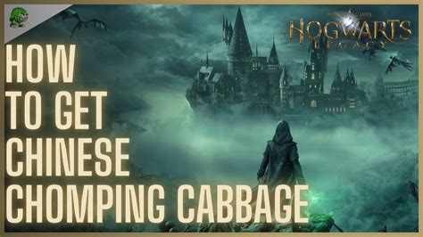 Hogwarts Legacy How To Get Chinese Chomping Cabbage Youtube