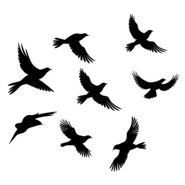 Black Bird Flying Silhouette PNG Free, Black Bird Flying Silhouette ...