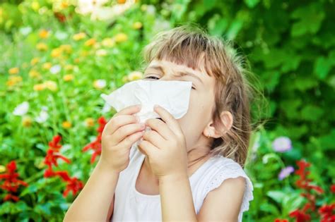 Alergia estacional en un niño rinitis enfoque selectivo naturaleza