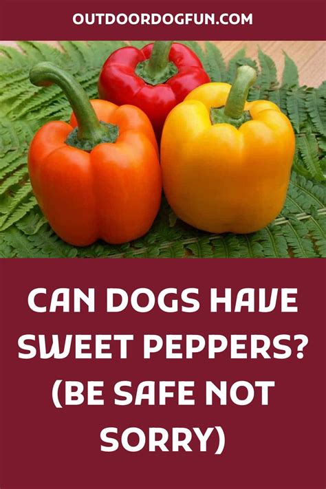 Are Bell Peppers Bad For Dogs