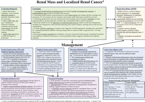 Renal Mass And Localized Renal Cancer Aua Guideline Journal Of Urology