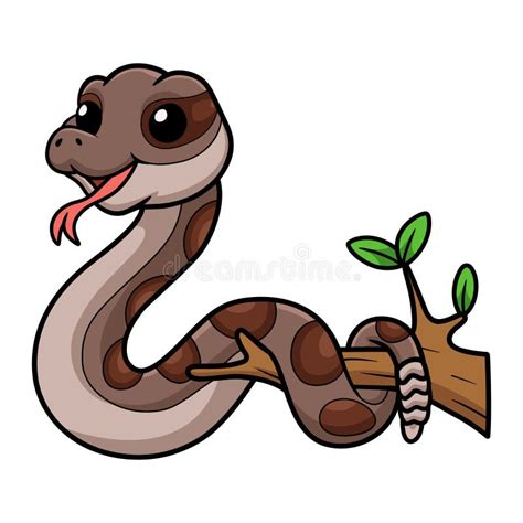 Cute Rattlesnake Cartoon On Tree Branch Stock Vector Illustration Of