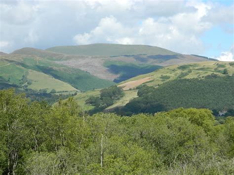 Cors Dyfi Dyfi Osprey Project Powys Michael Day Flickr