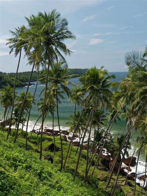 Bellas Vistas De Una Playa De Cabo De Rama En El Estado De Goa Foto De