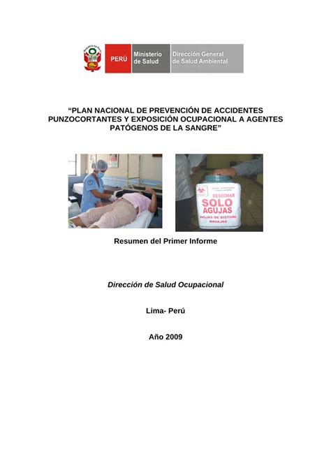 PDF PLAN NACIONAL DE PREVENCIÓN DE digesa minsa INFORME