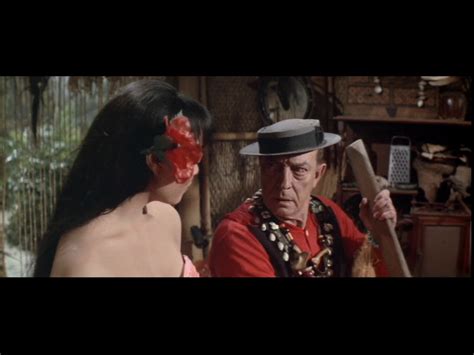 Fallen Rocket How To Stuff A Wild Bikini 1965