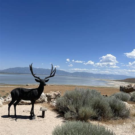 I used to see the sunrise because I loved to party Now I see the