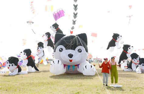 40th Weifang International Kite Festival Takes To The Skies CGTN