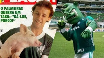 Porque O Palmeiras É Chamado De Porco - Bosteros, Gallinas, Porcos: la historia del chancho que cambió a ...