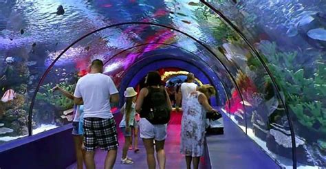 Antalya Aquarium Tour Include Transfer Alanya Side Antalya