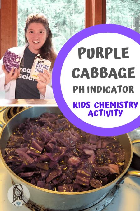 Natural Ph Indicators Make A Ph Indicator Using Beetroot Or Cabbage