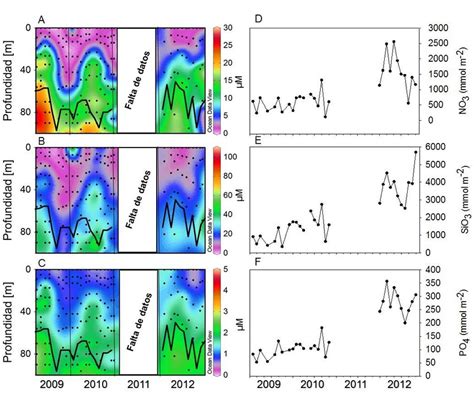 Distribuci N Vertical Y Temporal De Nutrientes Disueltos A Nitrato