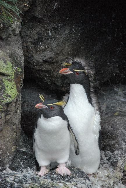 Three researchers from Plant Science visit Marion Island | University