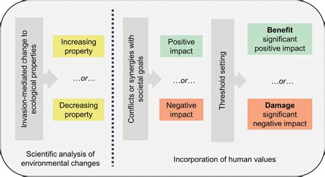 Assessing The Environmental Impacts Of Invasive Alien Plants A Review Of Assessment Approaches