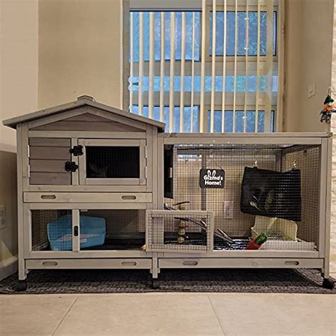 Top 10 Best Large Rabbit Hutch Indoor : Reviews & Buying Guide - Katynel