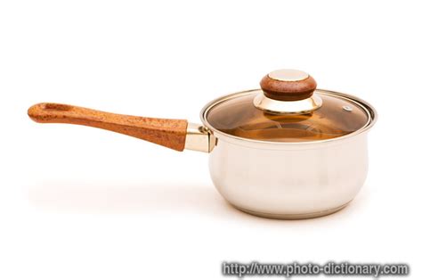 saucepan - photo/picture definition at Photo Dictionary - saucepan word ...