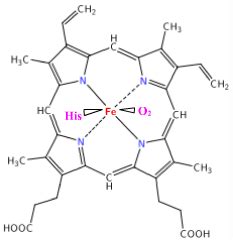 D Couvrir Imagen H Moglobine Formule Chimique Fr Thptnganamst Edu Vn