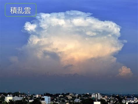 【十種雲形】雲は全部で10種類 見分け方を形や高さから解説！～下層雲編～季節・暮らしの話題 2021年08月01日 日本気象協会