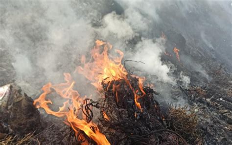 Sofocan Incendio En Basurero De San Antonio Mazapa 385 Grados