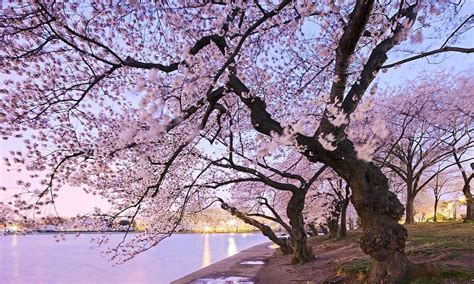 Top Spring Destinations for Unforgettable Travel Adventures - Hunter Games Magazine