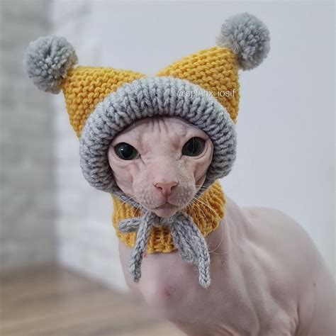 Шапочка для сфинкса