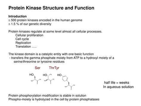 PPT - Protein Kinase Structure and Function Introduction PowerPoint ...